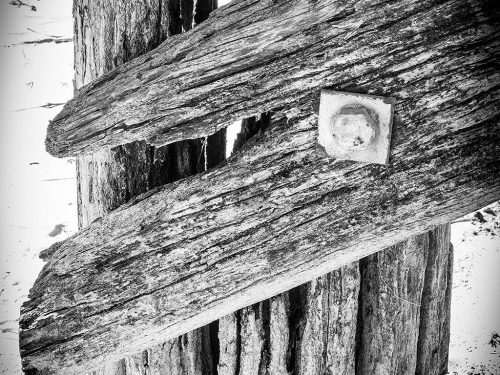 Texture 2 Coffs Harbour Jetty